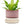 Minute Handmade Ceramic Planter Indoors Pot With Saucer