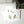 Evergreen Christmas assorted notecard set