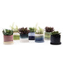 Minute Handmade Ceramic Planter Indoors Pot With Saucer