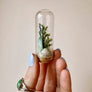 Beach Mix Mini Terrarium Crystal Ocean Dried Floral Bunch