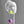 Polka Dot Earrings--Neon Yellow and Purple Swirl