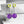 Ingo Earrings--Neon Yellow and Purple