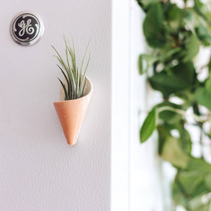 Tiny Ceramic Magnet Planter-Blush