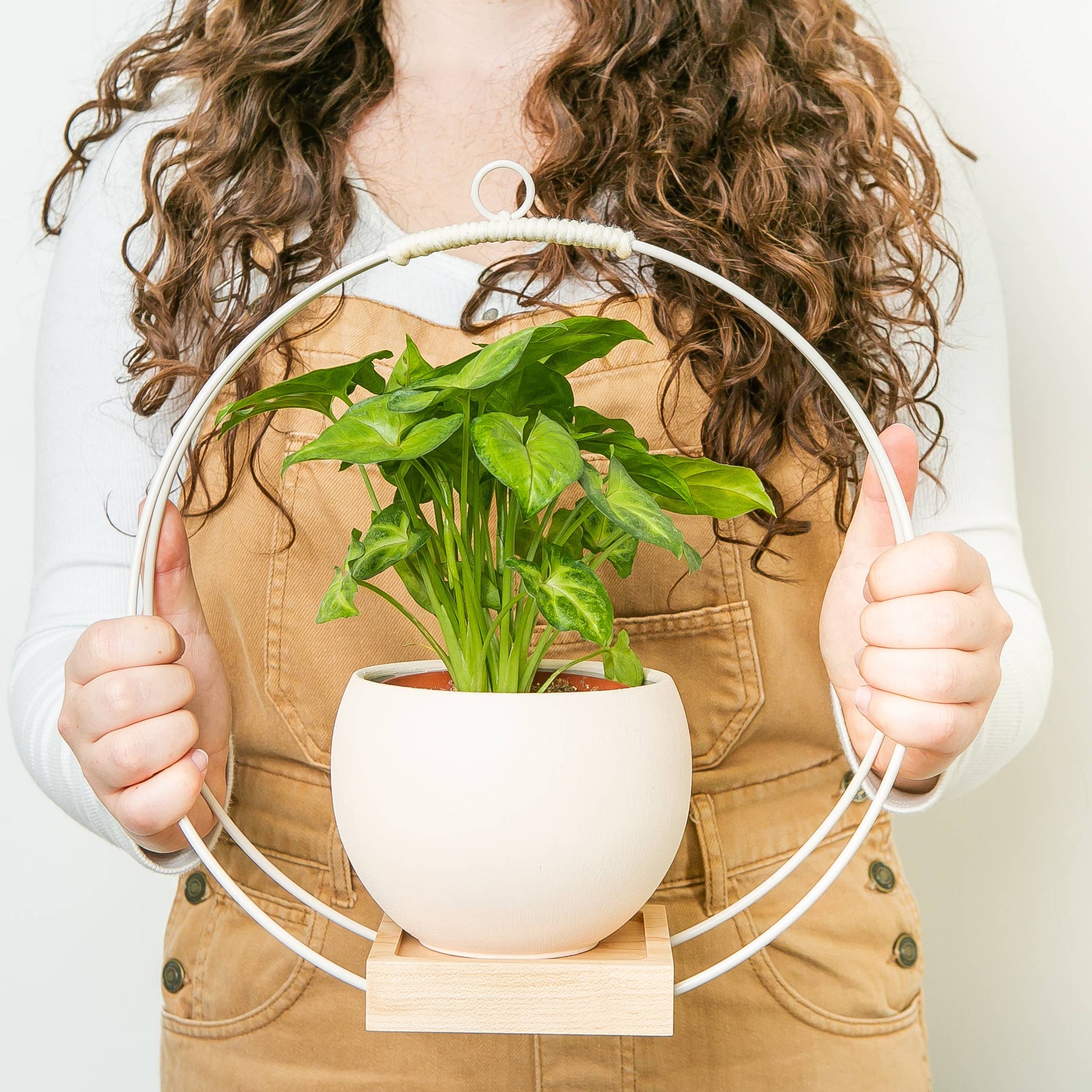 plant hanger with light Plant Hanger (Light & Airy) – Lewis & Pine