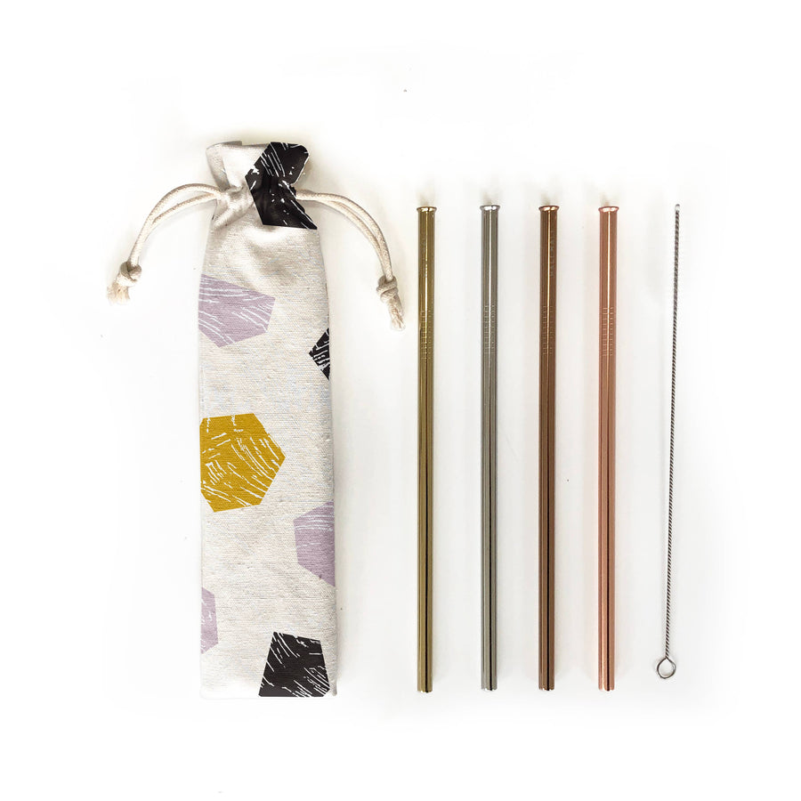 6 pc Eco Friendly Reusable Straw Set - Stop & Stare