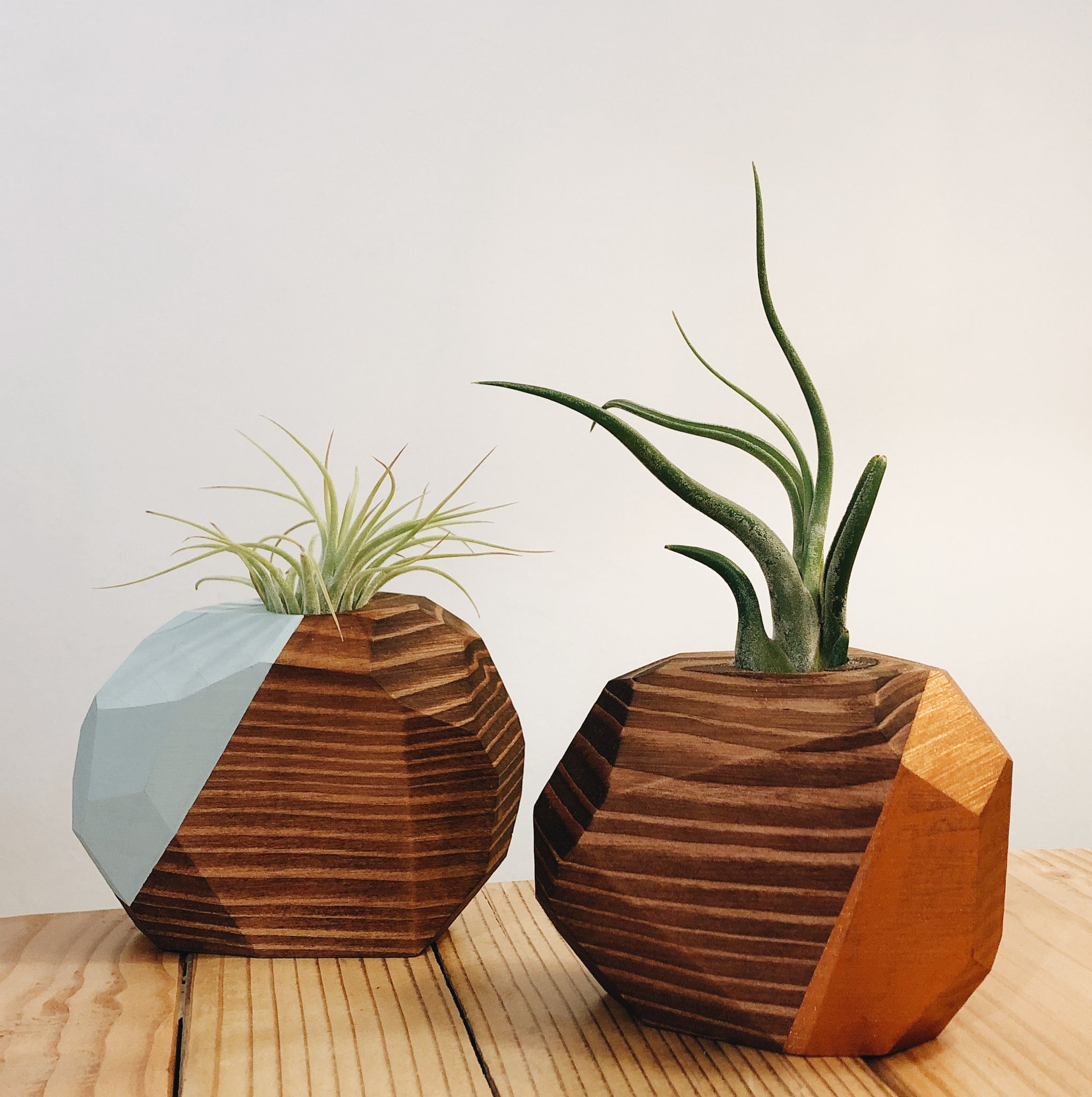 air plant wooden holder Large Geo Air Plant Holder – Lewis & Pine