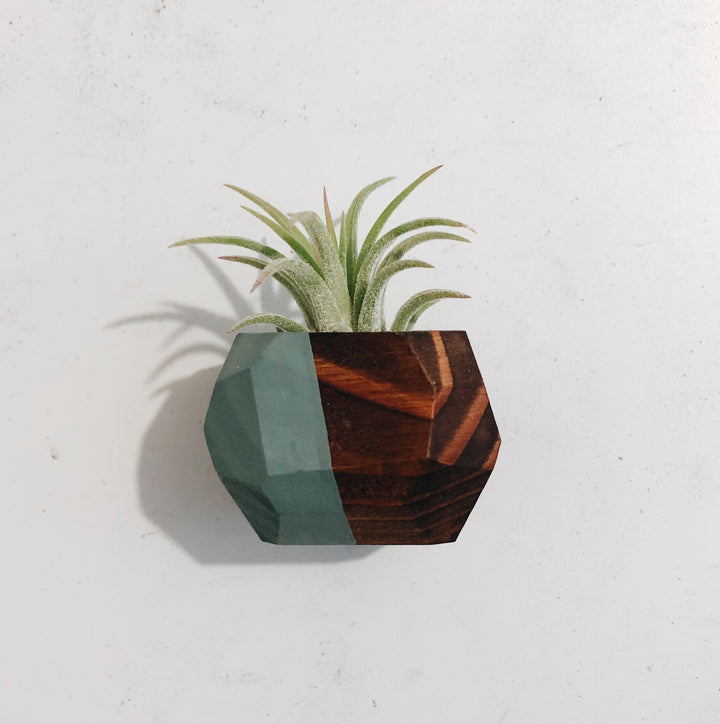 Geo Air Plant Magnet