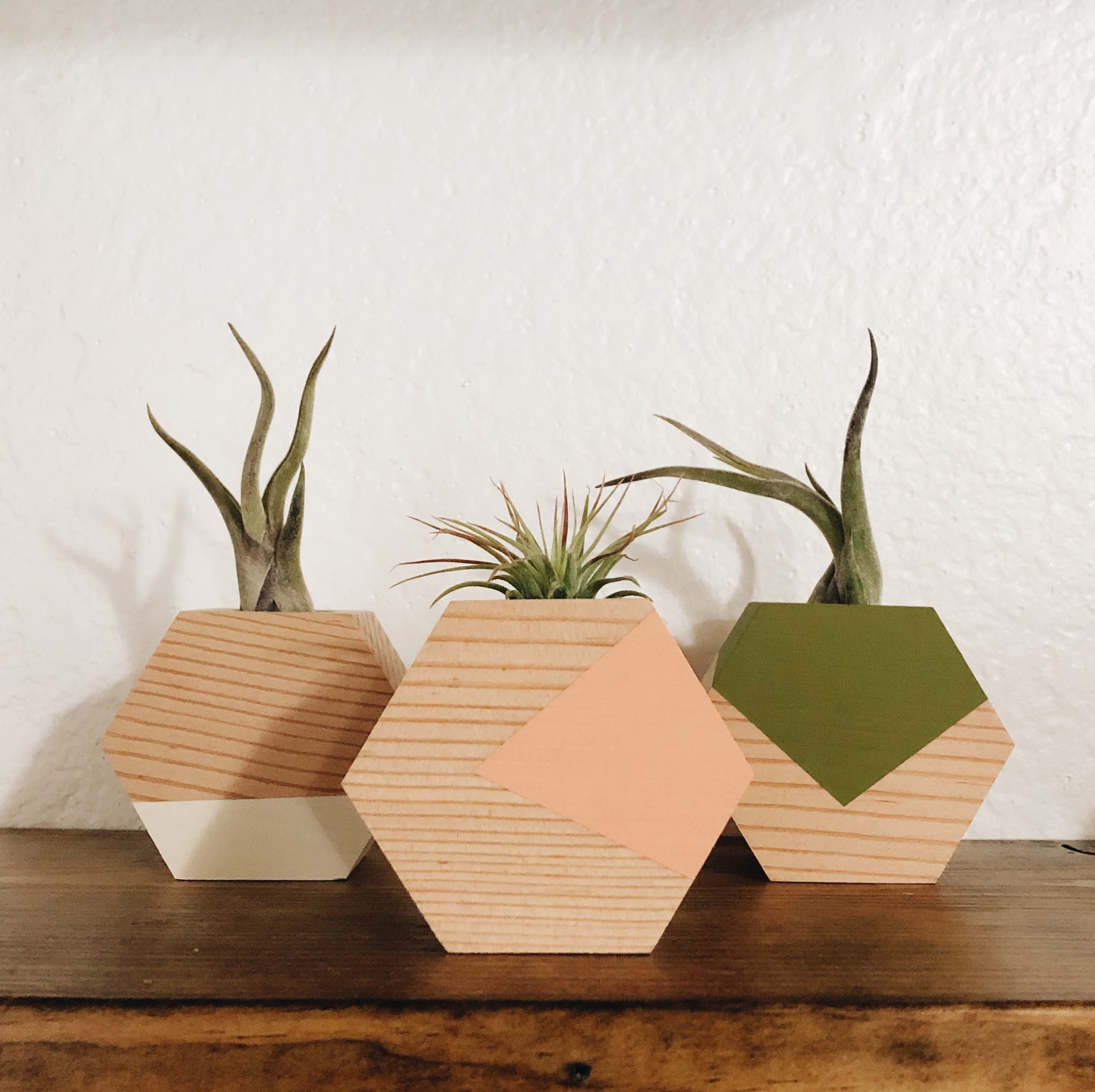 air plant wood holder Hexagon Air Plant Holder – Lewis & Pine