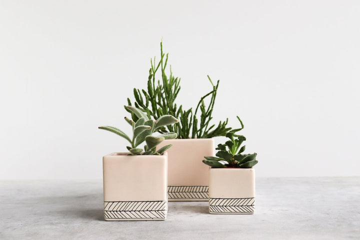 Pink Herringbone Square Planters