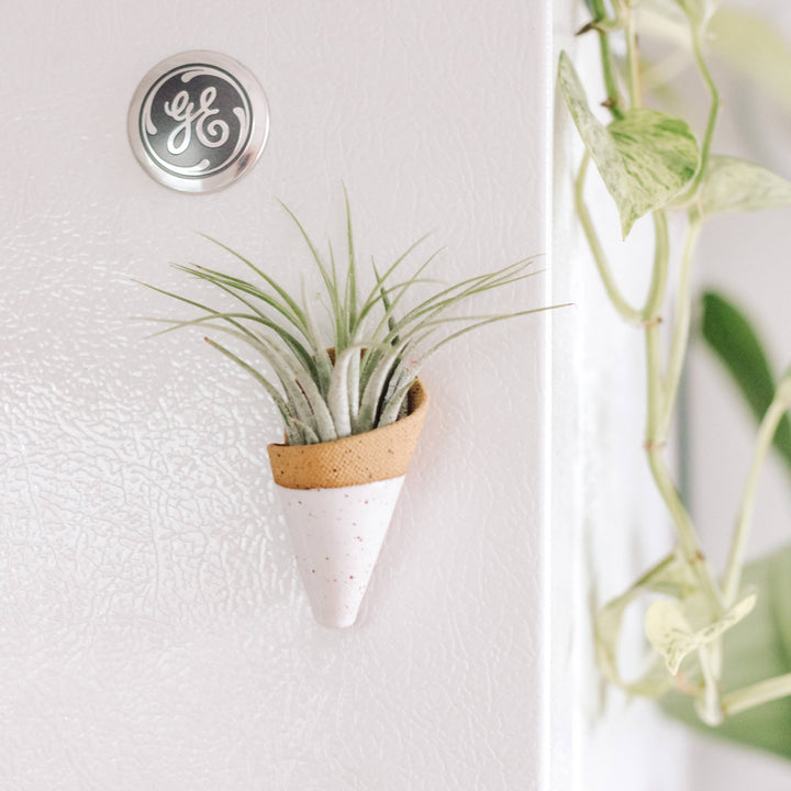 Tiny Ceramic Magnet Planter--Tan and White