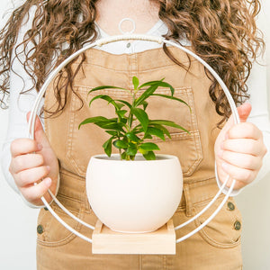 Plant Hanger (Light & Airy)