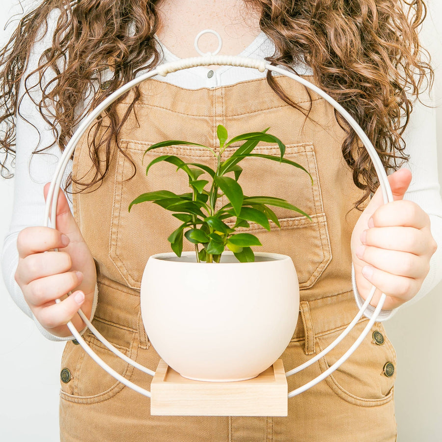 Plant Hanger (Light & Airy)