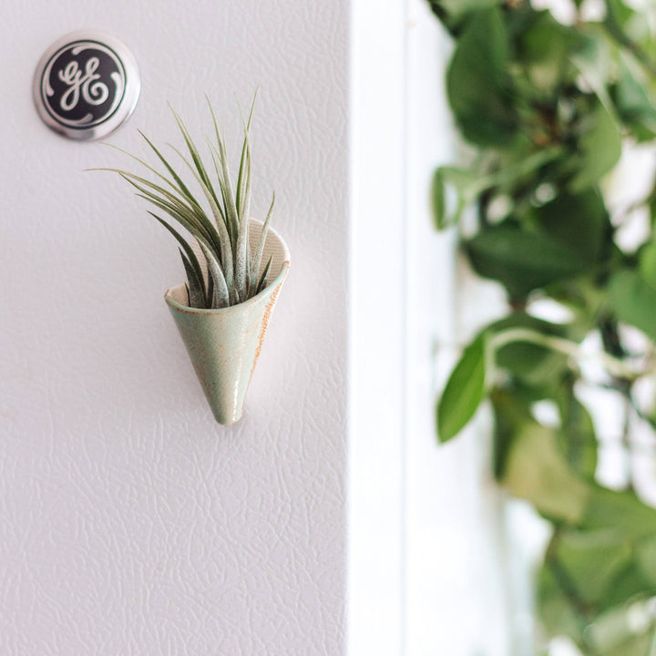 Tiny Ceramic Magnet Planter-Sage Green