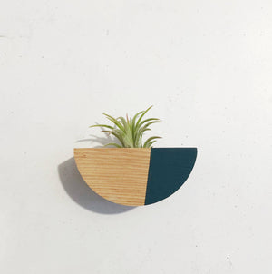 Half Circle Air Plant Magnet