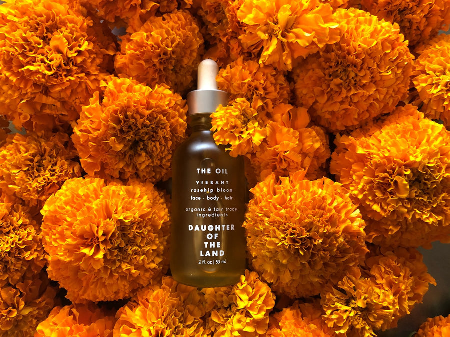 The Oil - Rosehip Bloom