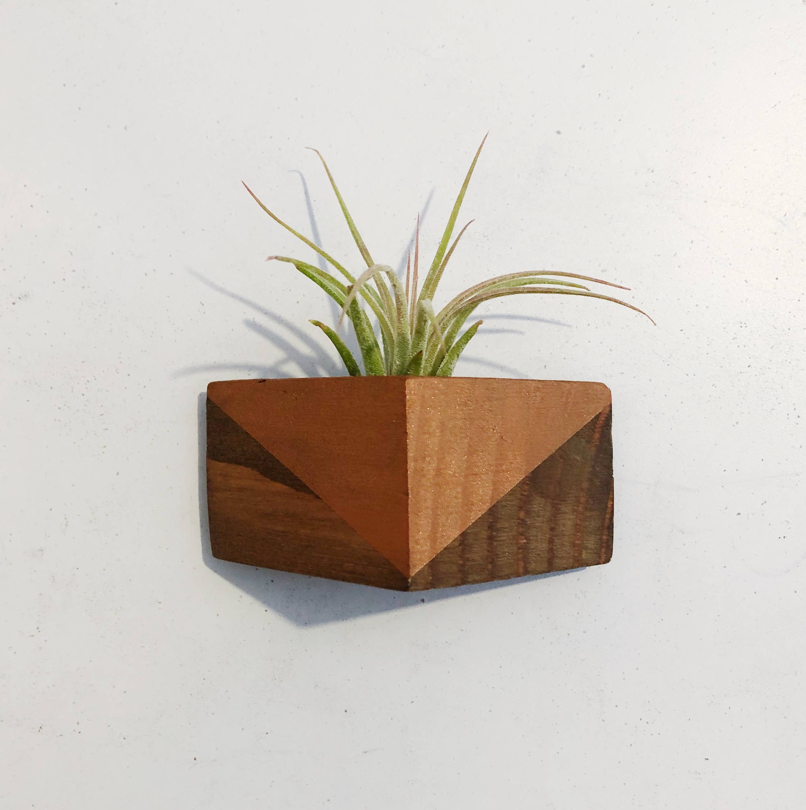 triangle plant hanger Triangle Air Plant Magnet – Lewis & Pine